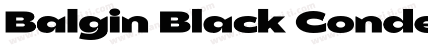 Balgin Black Condens字体转换